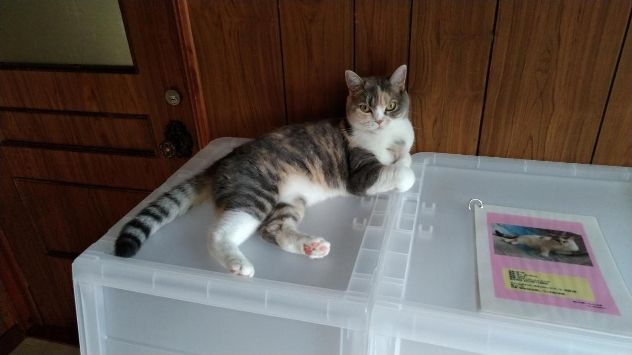 Cat Cafe & Stay Cultus'S Home Otaru Luaran gambar