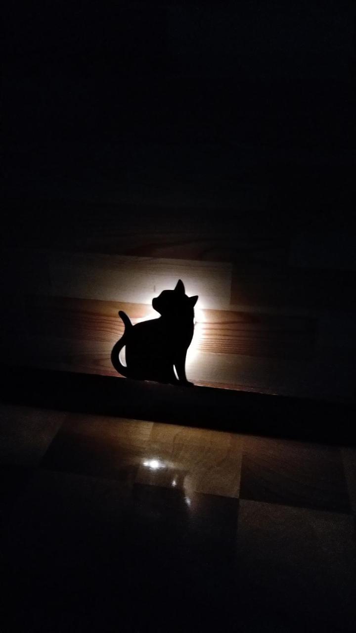 Cat Cafe & Stay Cultus'S Home Otaru Luaran gambar